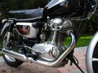 Ducati 350 Sebring